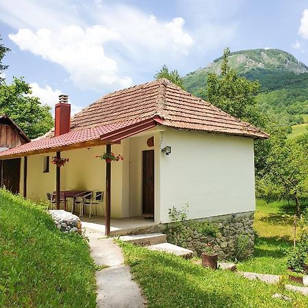 Farmstead Green Haven Mojkovac Eksteriør billede