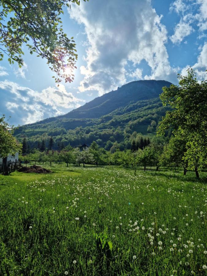 Farmstead Green Haven Mojkovac Eksteriør billede