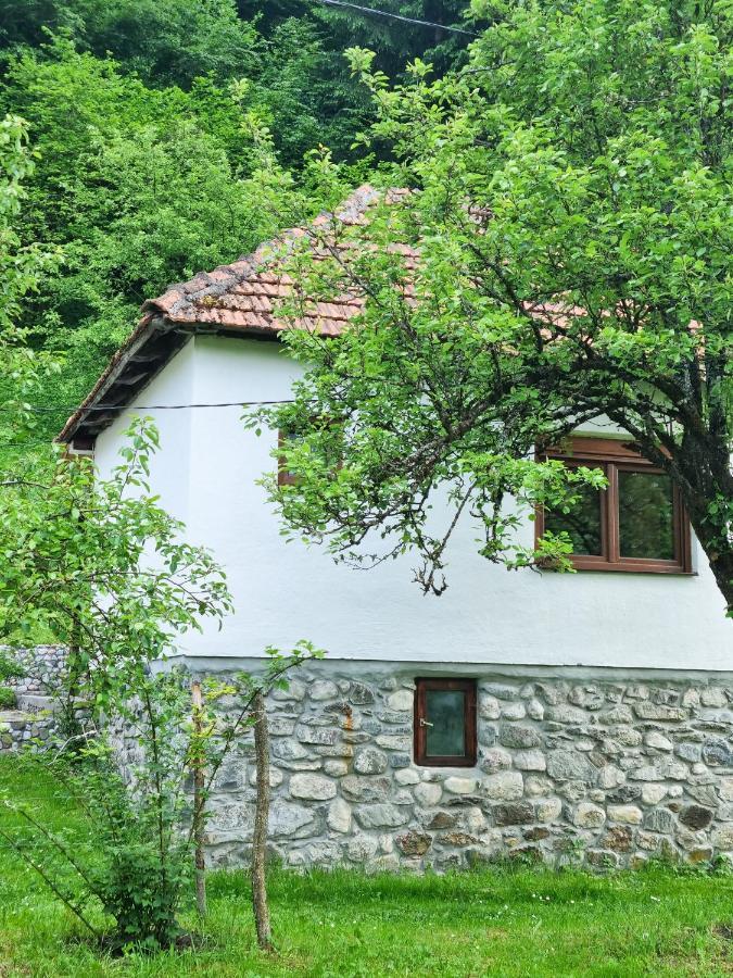Farmstead Green Haven Mojkovac Eksteriør billede