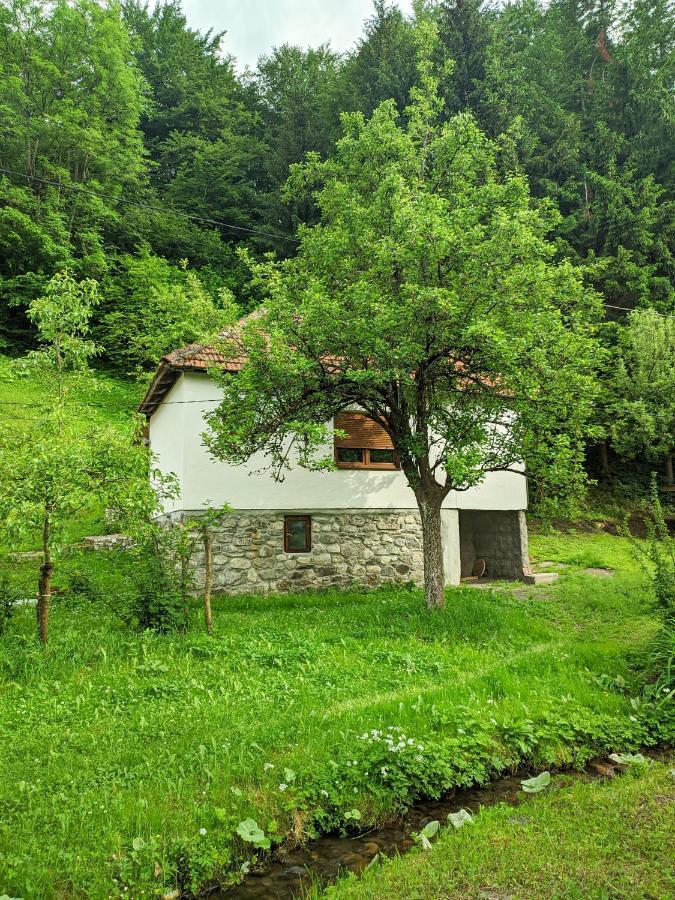 Farmstead Green Haven Mojkovac Eksteriør billede