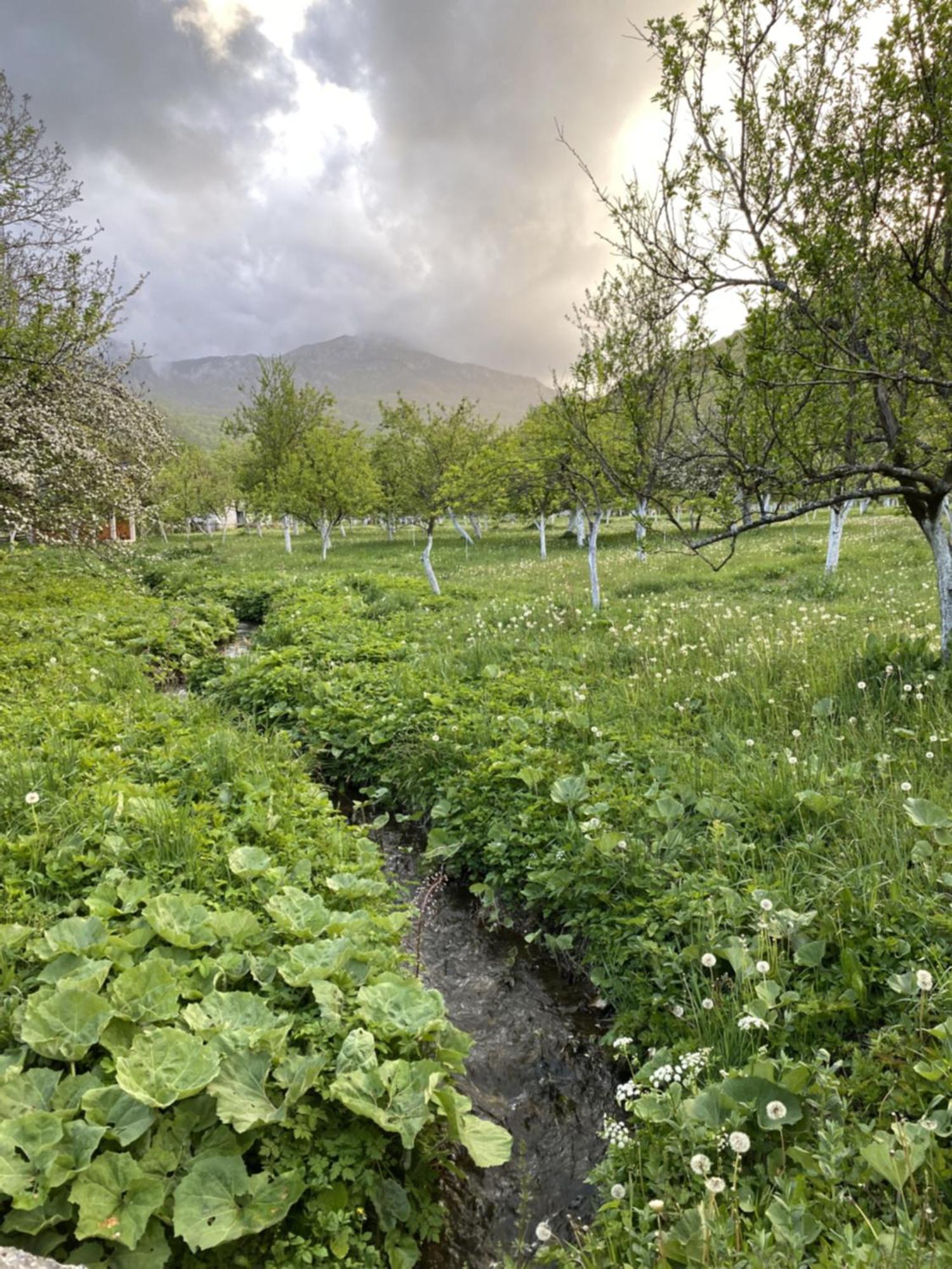 Farmstead Green Haven Mojkovac Eksteriør billede